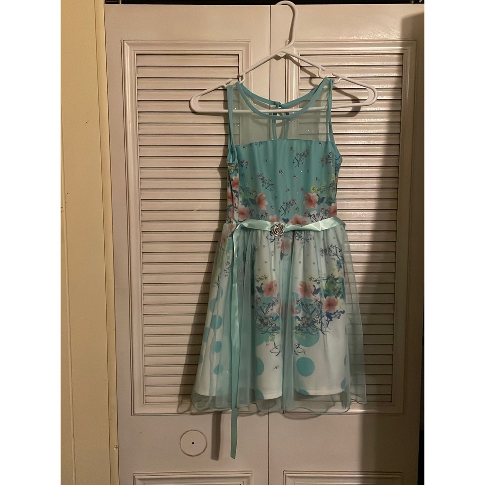 Girls size 7 Lily Rose dress